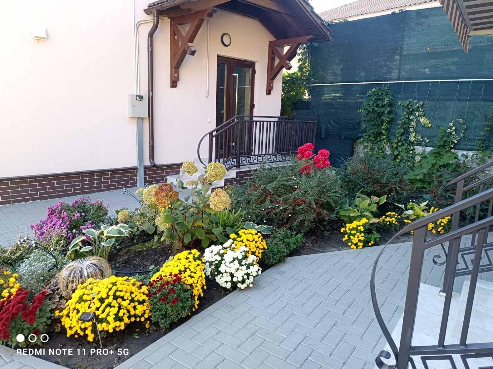 Casa Cu Nuferi
